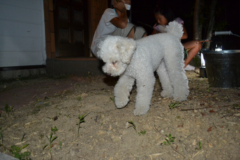 f:id:reeyan:20110815075656j:image