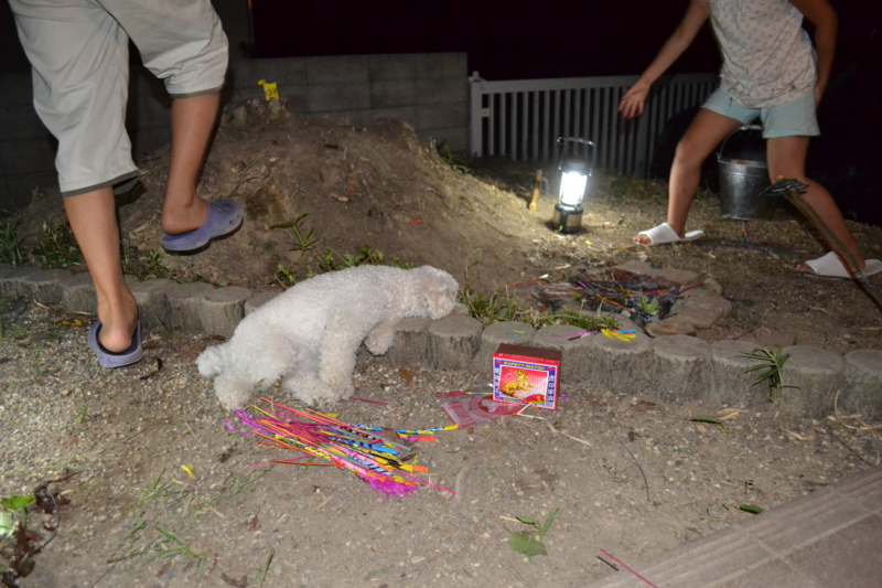 f:id:reeyan:20110815075955j:image