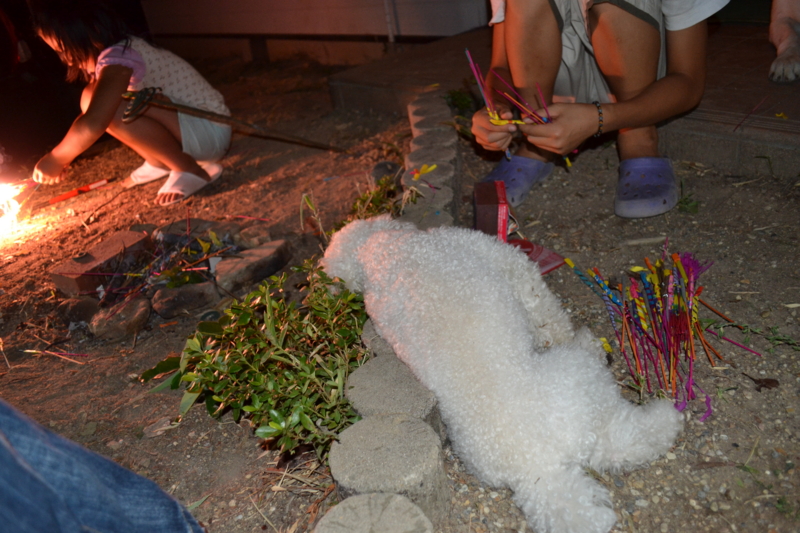 f:id:reeyan:20110815080012j:image