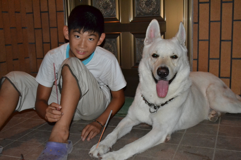 f:id:reeyan:20110815080158j:image