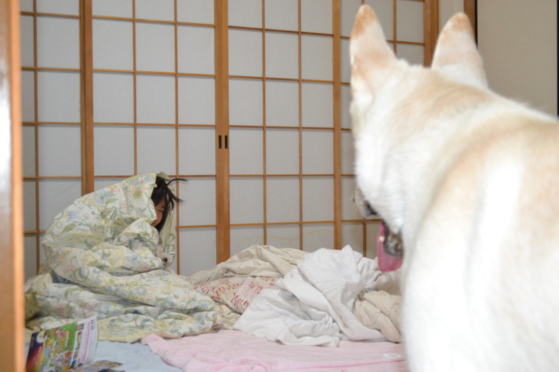 f:id:reeyan:20110815080631j:image