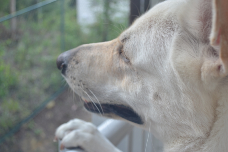 f:id:reeyan:20110815081844j:image f:id:reeyan:20110815081844j:image