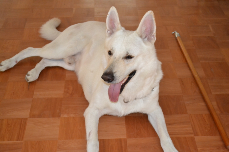 f:id:reeyan:20110815082754j:image f:id:reeyan:20110815082754j:image