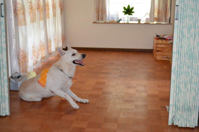f:id:reeyan:20110816183448j:image f:id:reeyan:20110816183448j:image
