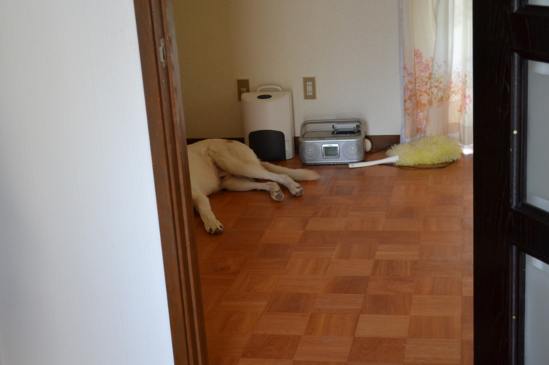 f:id:reeyan:20110816183511j:image f:id:reeyan:20110816183511j:image