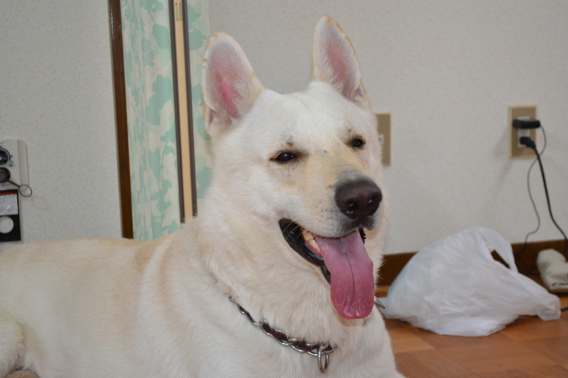 f:id:reeyan:20110816183529j:image f:id:reeyan:20110816183529j:image