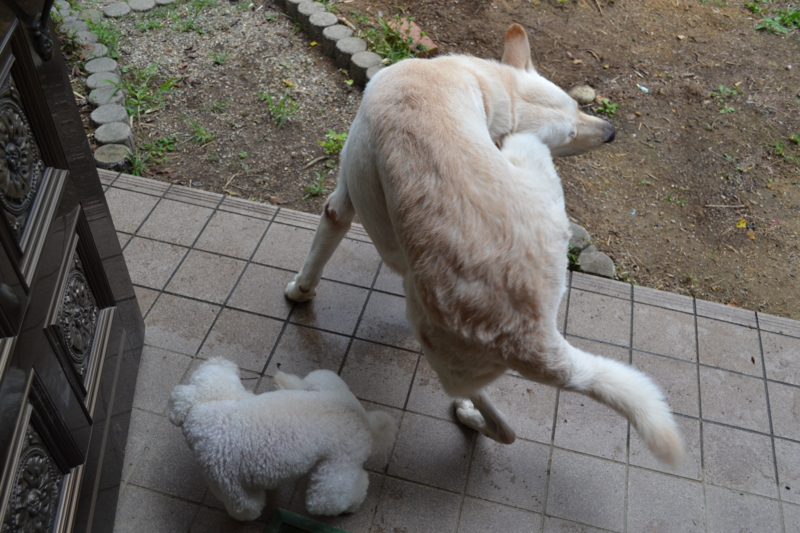 f:id:reeyan:20110904100817j:image f:id:reeyan:20110904100817j:image