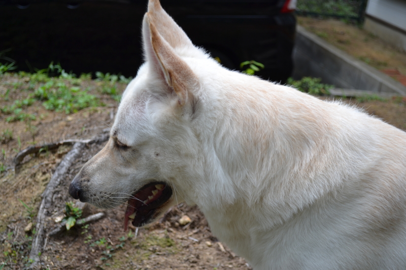 f:id:reeyan:20110904100858j:image f:id:reeyan:20110904100858j:image