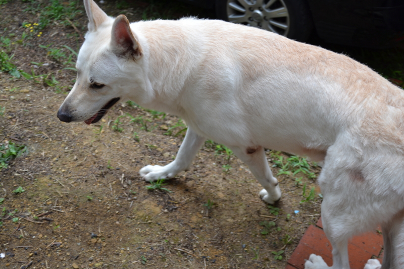 f:id:reeyan:20110904100916j:image f:id:reeyan:20110904100916j:image