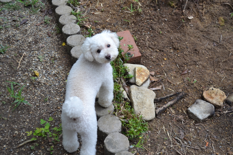 f:id:reeyan:20110904100936j:image f:id:reeyan:20110904100936j:image