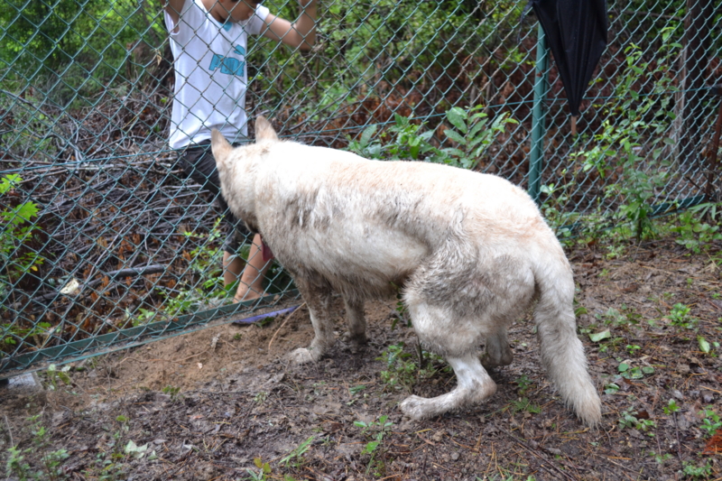f:id:reeyan:20110904101725j:image f:id:reeyan:20110904101725j:image