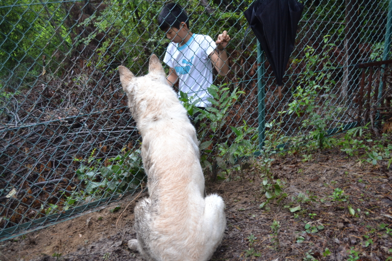 f:id:reeyan:20110904102252j:image f:id:reeyan:20110904102252j:image