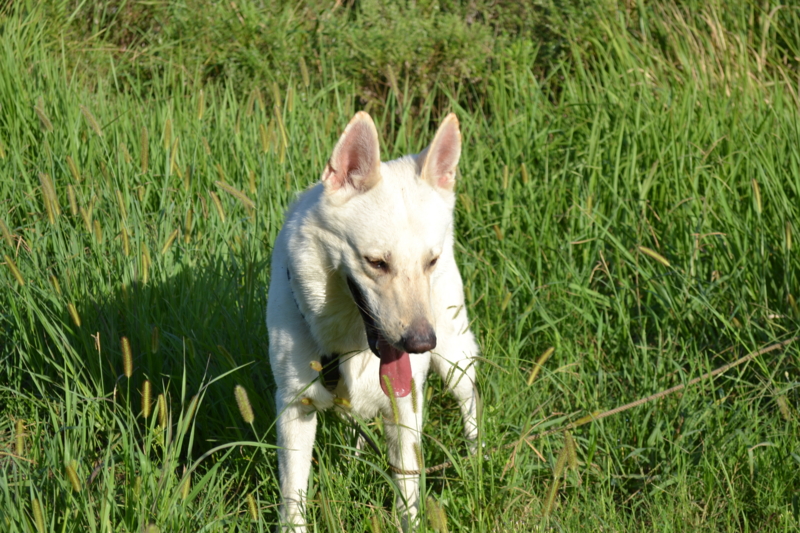 f:id:reeyan:20110911082423j:image f:id:reeyan:20110911082423j:image