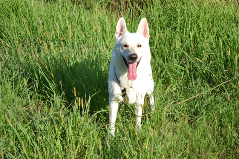 f:id:reeyan:20110911082441j:image f:id:reeyan:20110911082441j:image