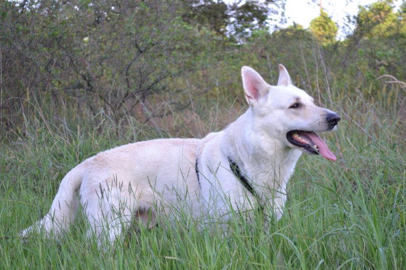 f:id:reeyan:20110911082505j:image f:id:reeyan:20110911082505j:image