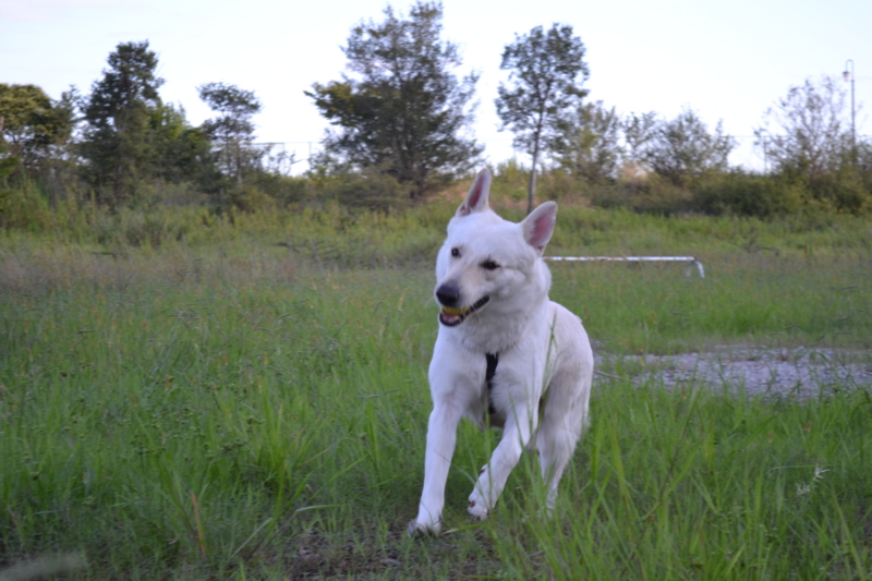 f:id:reeyan:20110911082530j:image f:id:reeyan:20110911082530j:image