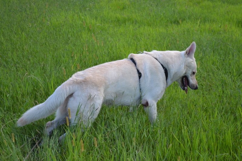 f:id:reeyan:20110911083156j:image f:id:reeyan:20110911083156j:image