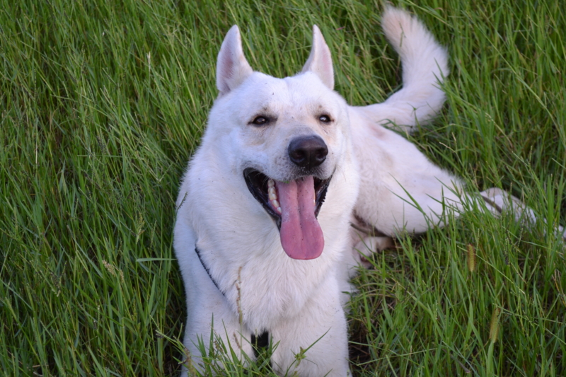 f:id:reeyan:20110911083308j:image f:id:reeyan:20110911083308j:image