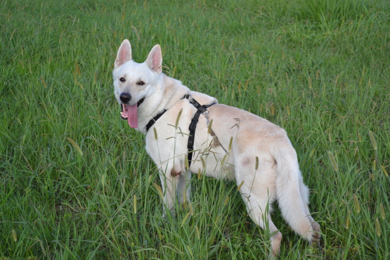 f:id:reeyan:20110911083346j:image f:id:reeyan:20110911083346j:image