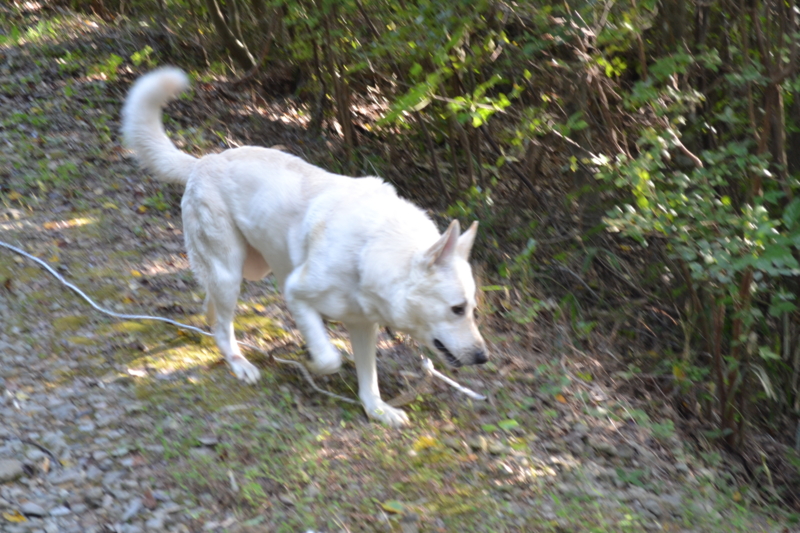 f:id:reeyan:20111016193547j:image