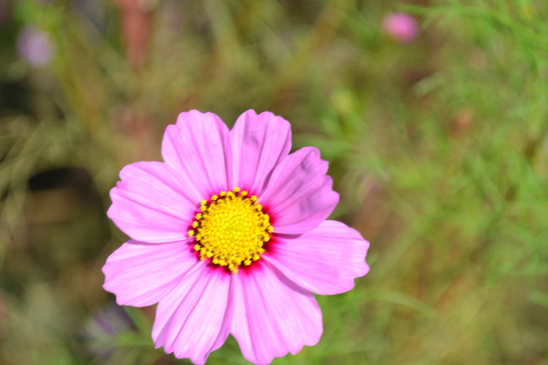 f:id:reeyan:20111028091603j:image f:id:reeyan:20111028091603j:image
