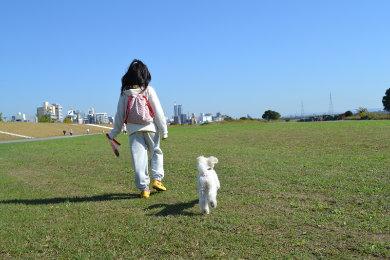 f:id:reeyan:20111028091623j:image f:id:reeyan:20111028091623j:image