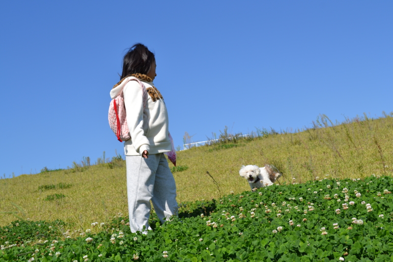 f:id:reeyan:20111028091641j:image f:id:reeyan:20111028091641j:image