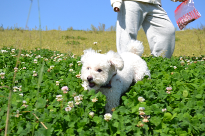 f:id:reeyan:20111028091700j:image f:id:reeyan:20111028091700j:image