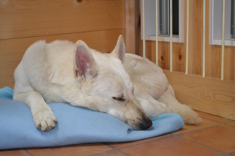 f:id:reeyan:20111030124215j:image f:id:reeyan:20111030124215j:image