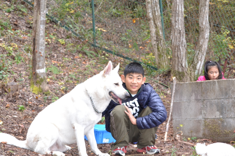 f:id:reeyan:20111123205042j:image