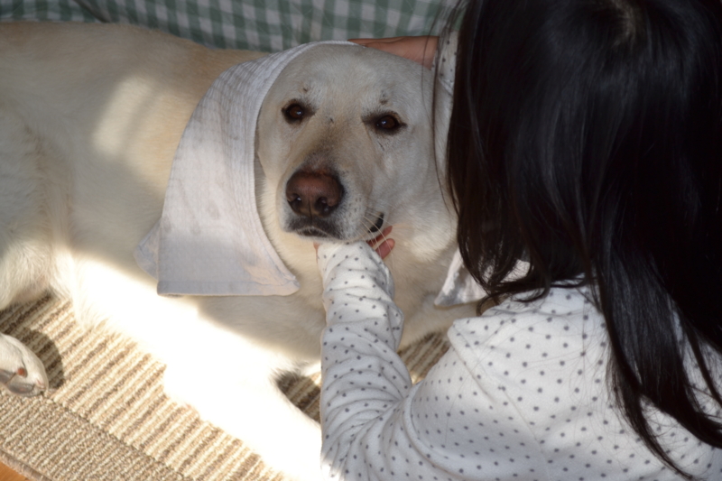 f:id:reeyan:20120204120027j:image