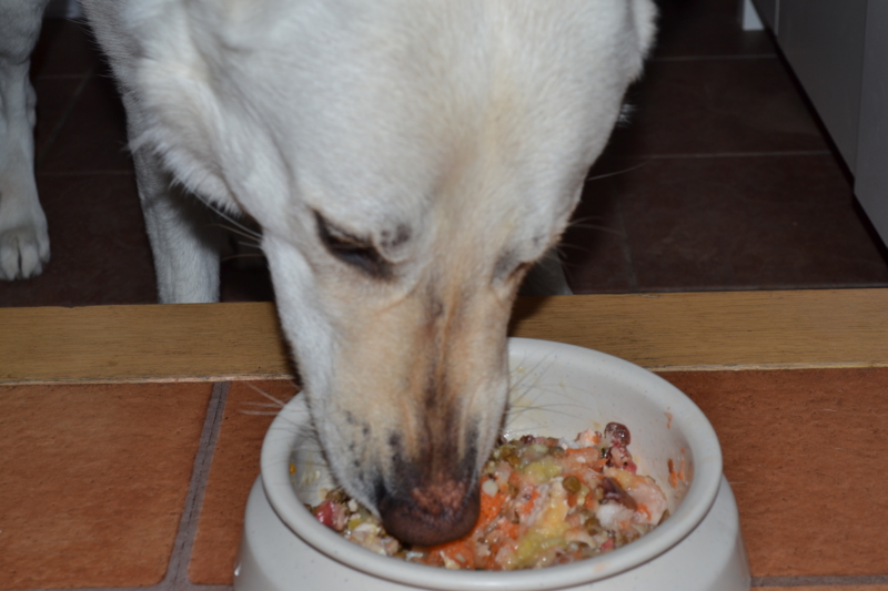 f:id:reeyan:20120325193449j:image