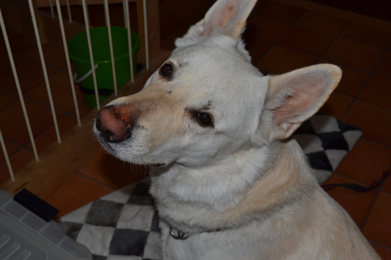 f:id:reeyan:20120325193508j:image