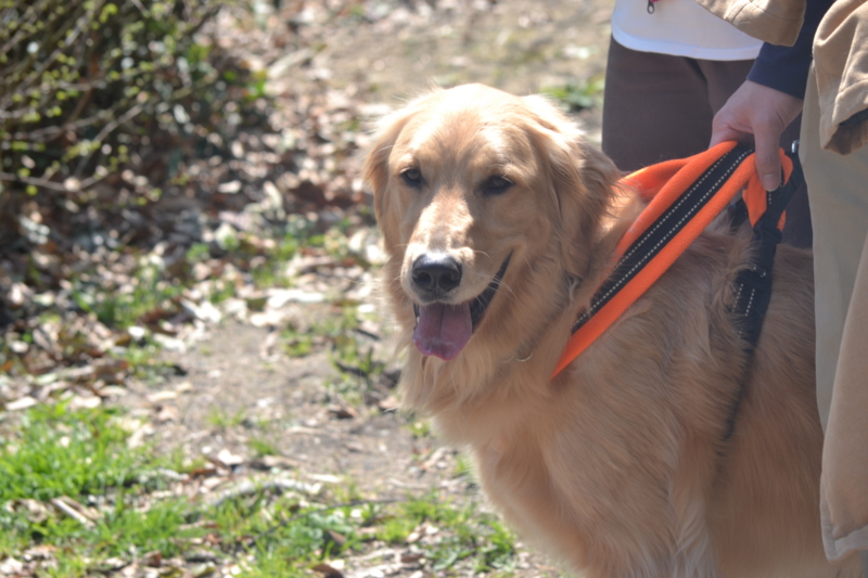 f:id:reeyan:20120411151942j:image f:id:reeyan:20120411151942j:image