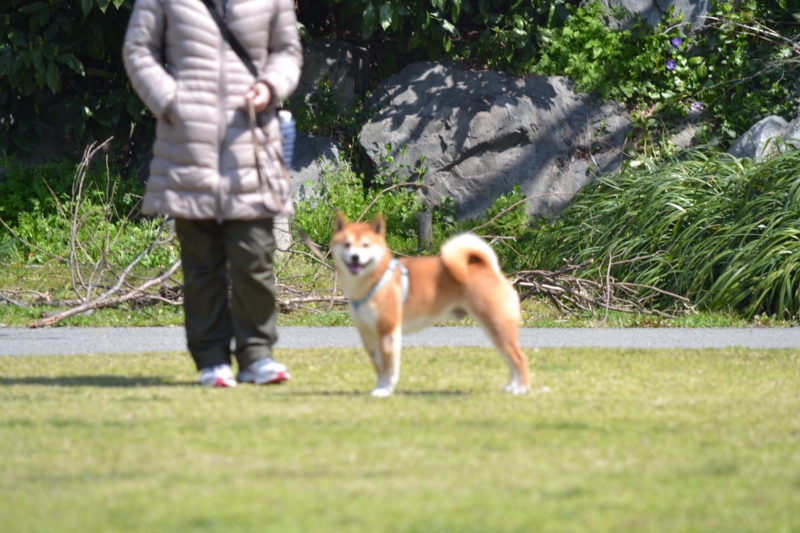 f:id:reeyan:20120411152055j:image f:id:reeyan:20120411152055j:image