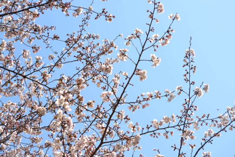f:id:reeyan:20120411152131j:image f:id:reeyan:20120411152131j:image