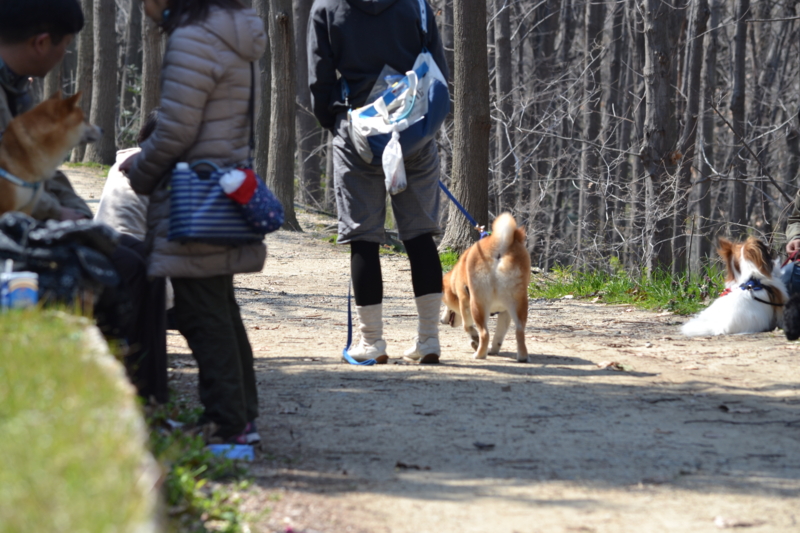 f:id:reeyan:20120411160431j:image f:id:reeyan:20120411160431j:image