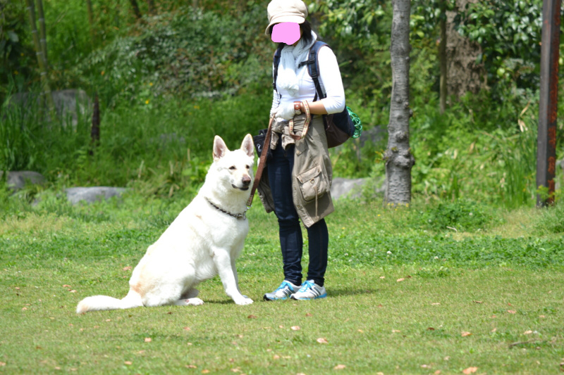 f:id:reeyan:20120421203904j:image f:id:reeyan:20120421203904j:image