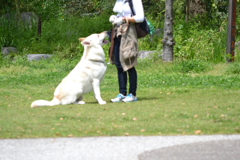 f:id:reeyan:20120421203923j:image f:id:reeyan:20120421203923j:image