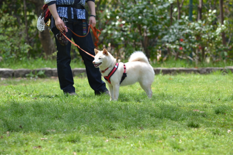 f:id:reeyan:20120421204001j:image f:id:reeyan:20120421204001j:image