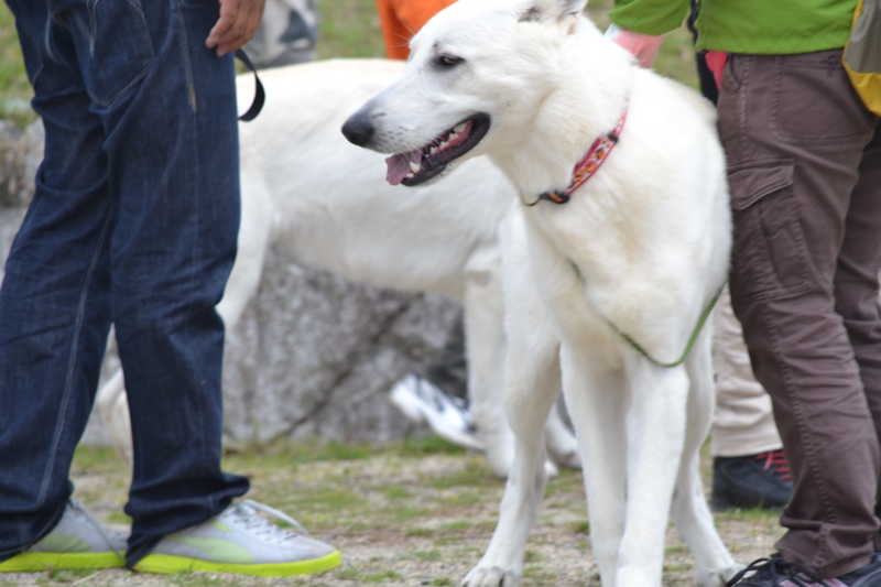 f:id:reeyan:20120421204303j:image f:id:reeyan:20120421204303j:image