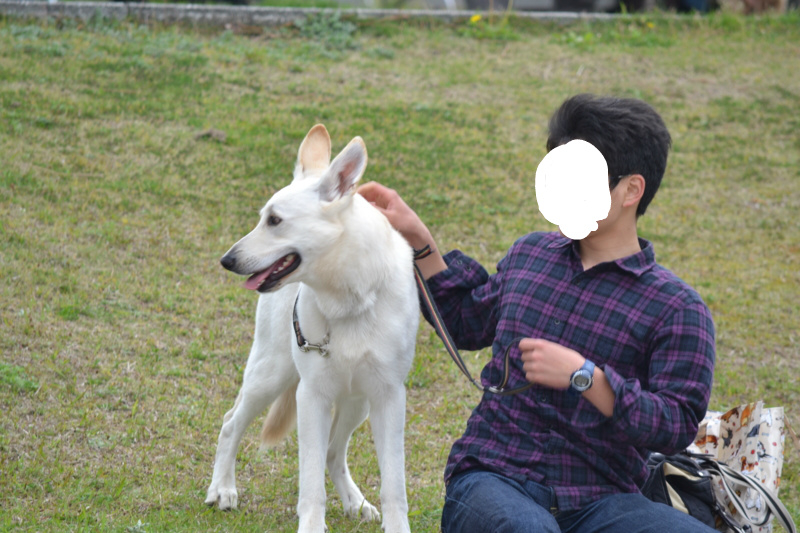 f:id:reeyan:20120421204322j:image f:id:reeyan:20120421204322j:image