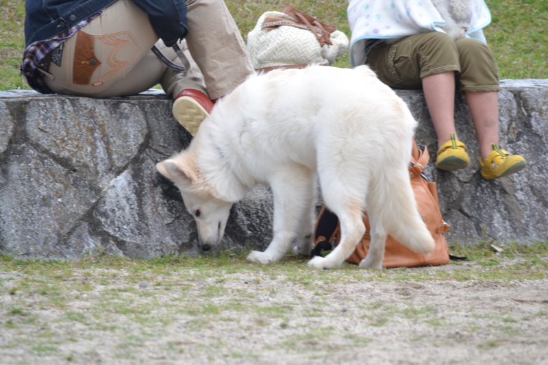 f:id:reeyan:20120421204342j:image f:id:reeyan:20120421204342j:image