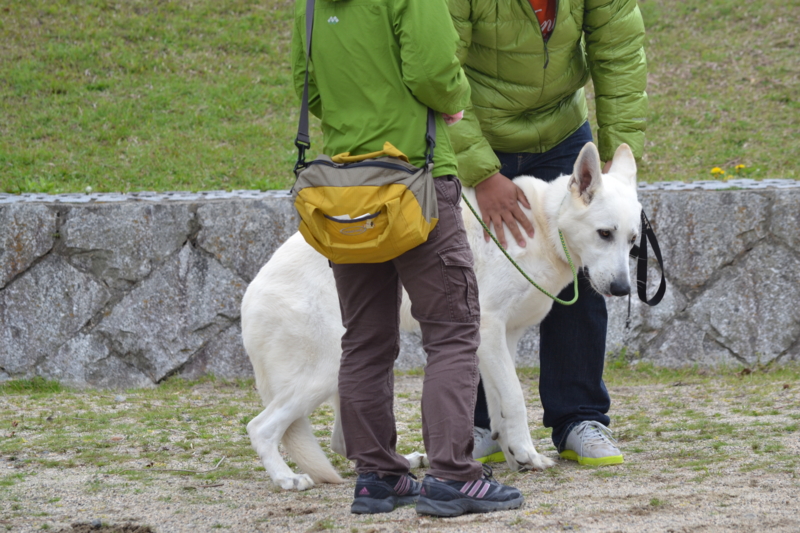 f:id:reeyan:20120421204404j:image f:id:reeyan:20120421204404j:image