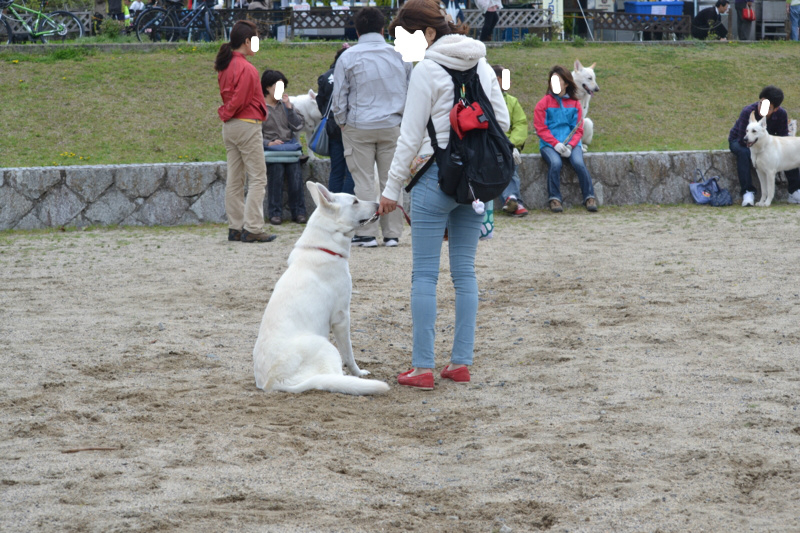 f:id:reeyan:20120421204444j:image f:id:reeyan:20120421204444j:image