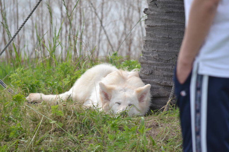 f:id:reeyan:20120429190133j:image