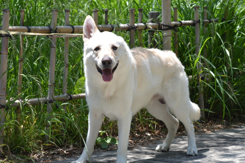 f:id:reeyan:20120519165037j:image f:id:reeyan:20120519165037j:image