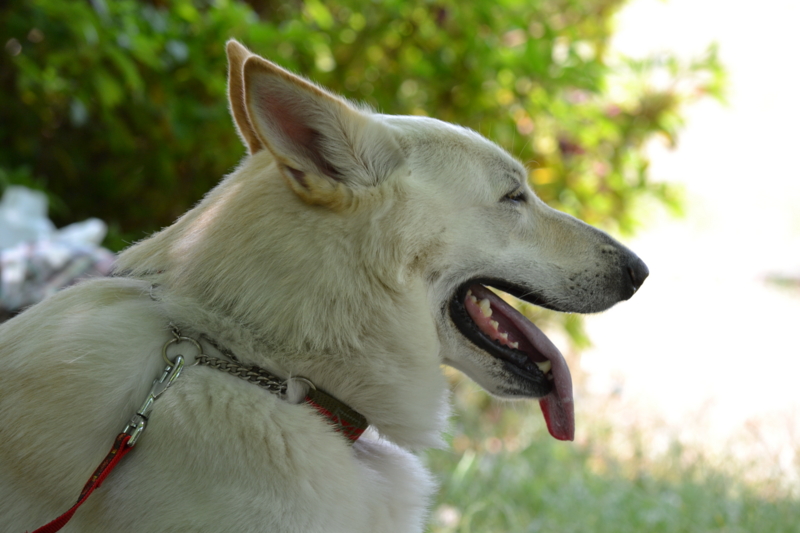 f:id:reeyan:20120527184746j:image f:id:reeyan:20120527184746j:image