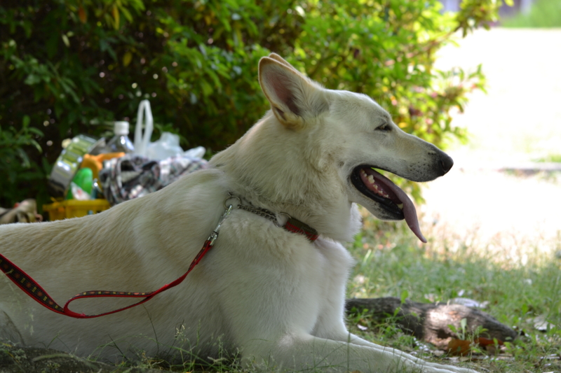 f:id:reeyan:20120527184805j:image f:id:reeyan:20120527184805j:image