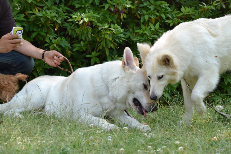 f:id:reeyan:20120527184823j:image f:id:reeyan:20120527184823j:image